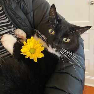 Meet your Posher, Kat